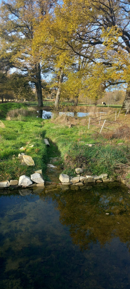 waterbron-en-vijver